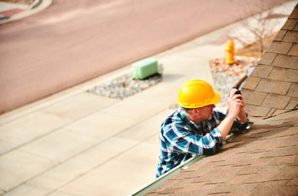 Best Roof Moss and Algae Removal  in Winterville, GA